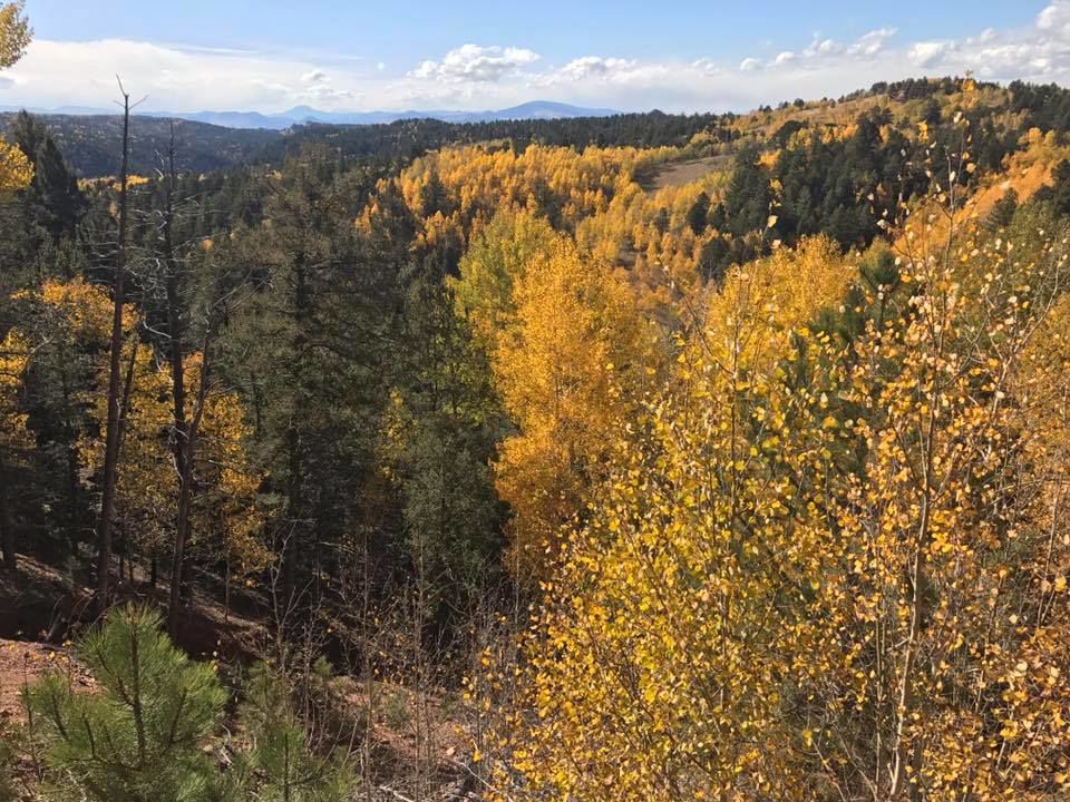 Fall beauty